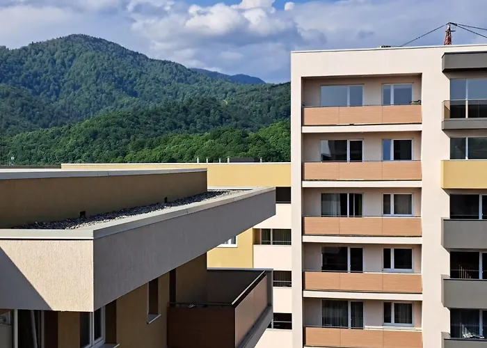 Alexandra view studio